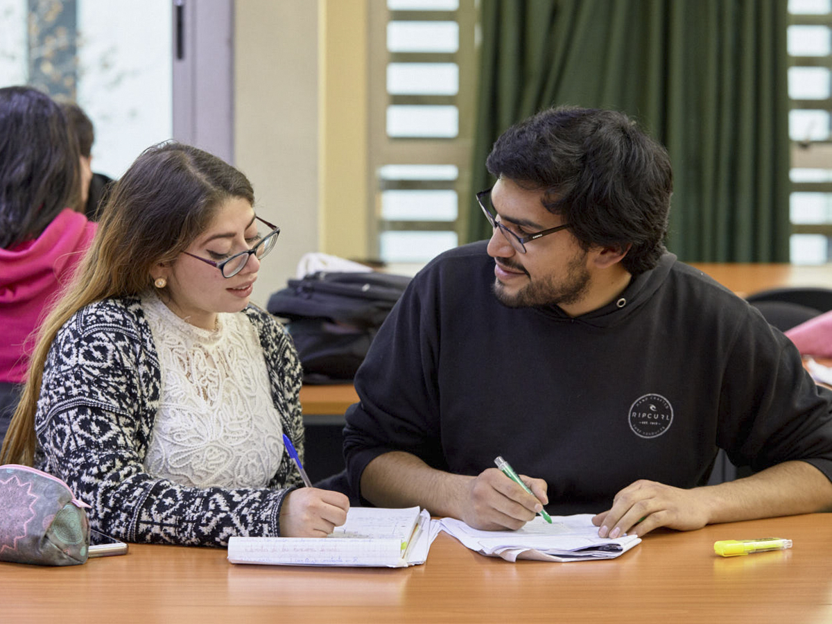 Evaluación en Medio Término